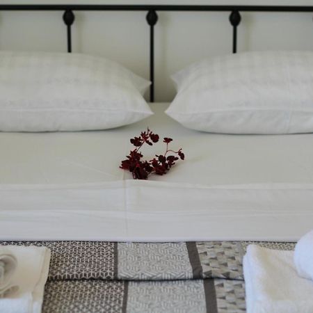 Apartment Nero Zadar Dış mekan fotoğraf